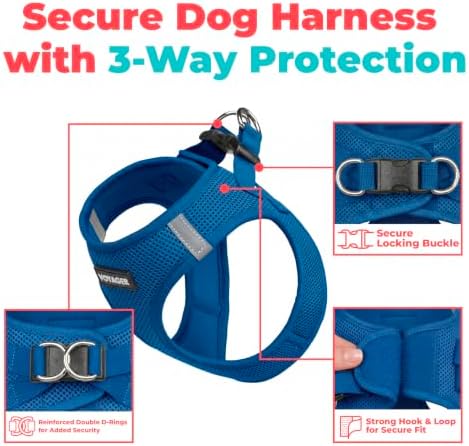 Best Pet Supplies Voyager Step-in Air Harness - All Weather Mesh, Reflective, No Pull Harness for Dogs, Cats - Secure with Hook & Loop Fastener, Buckle, Double D-Rings - Royal Blue, XS - Image 2