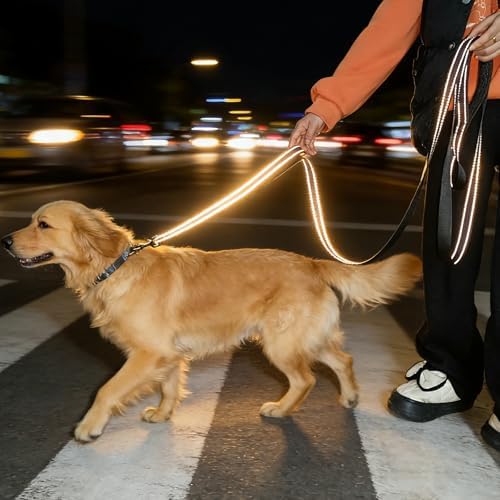 10FT Dog Leash with Traffic Handle Reflective Large Medium Dog - Image 7