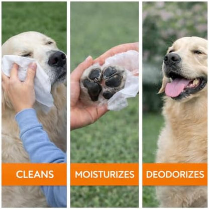 Tazza Pet Cleaning Wipes, 440 Count, Gentle Dog Wipes for Pets, Deodorizing Grooming Wipes with Oatmeal & Aloe, Fragrance Free Pet Wipes for Dogs & Puppies - Image 5