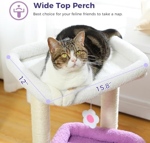 PEQULTI Small Cat Tree Tower for Indoor Cats, Sisal Post&Cozy Condo, Purple - Image 2