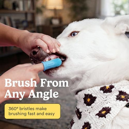 Jasper Dog Toothbrush, 360° Finger Toothbrush for Dogs & Cats, Blue 2-Pack - Image 2