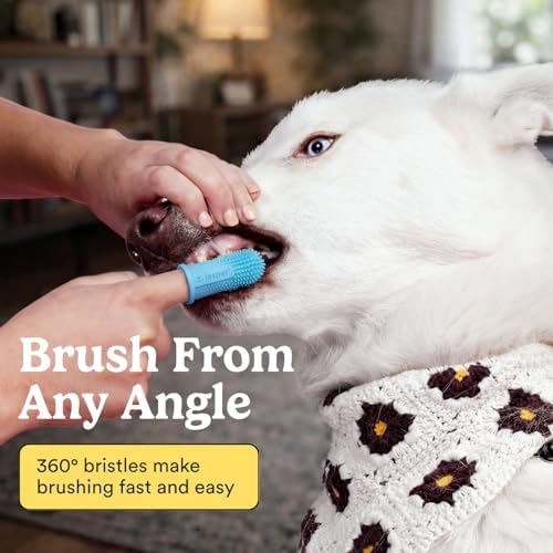 Jasper Dog Toothbrush, 360° Finger Toothbrush for Dogs & Cats, Blue 4-Pack - Image 2