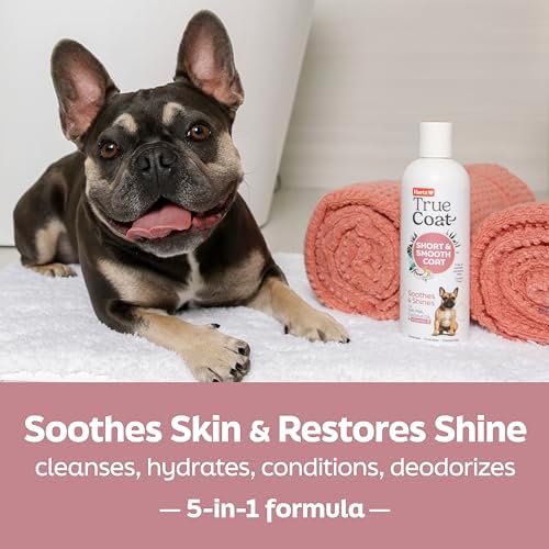 True Coat Short & Smooth Coat Dog Shampoo, 5 in 1 Soothes & Shines with Oat Milk, Coconut Oil & Vitamin E, 16 oz - Image 2