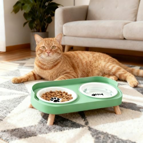 Elevated Cat Bowls, 2 Ceramic Raised Cat Food and Water Bowl Set, Prevent Cat Chin Acne, Whisker Fatigue Friendly, Splash Proof & Dishwasher Safe for Indoor Cats and Small Dogs - Green - Image 7
