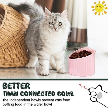 Dandat 4 Pcs Elevated Cat Food Bowls, Ceramic Raised Cat Bowls, Shallow, Less Digestion Issues, Anti Vomiting, No Stress for Food and Water Indoor Kitten - Image 5