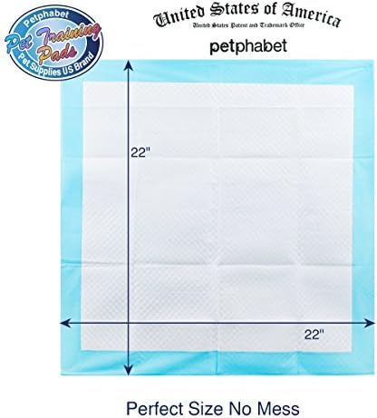 Petfamily Super-Absorbent Dog Training Potty Pee Pads Puppy Piddle Pads (100-Count) - Image 2