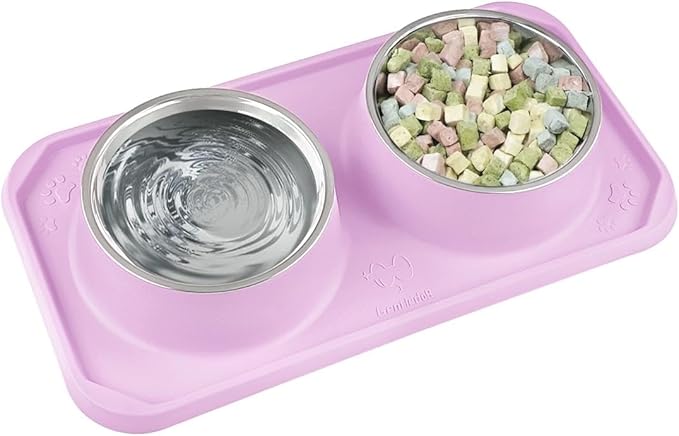 Cat Bowls for Food and Water, Upgrade Cat Food Bowls for Indoor Cats, Premium Removable Stainless Steel Double Bowls with Silicone Anti-Slip Pads, Water Bowl for Cats and Dog (Pink Purple)