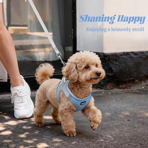 No Pull Dog Puppy Harness and Leash Set Reflective Mesh Vest Small - Image 6