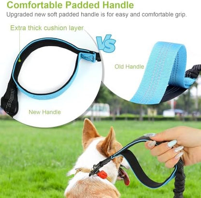 Hands Free Dog Leas, Double Waist Leash for Two Dog Walking (Blue) - Image 4
