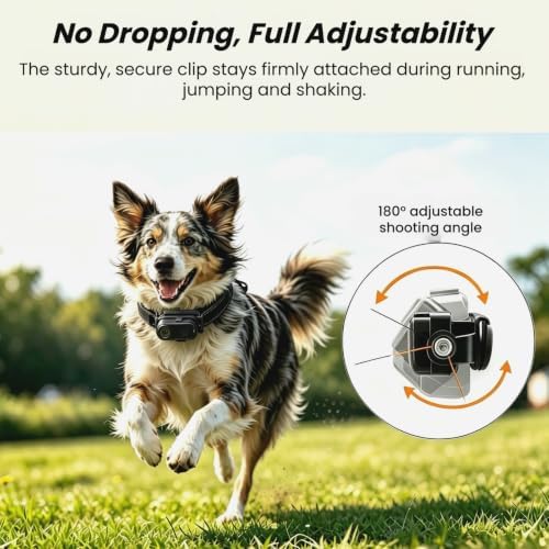 2K POV Cat Camera Collar with 32GB SD Card, WiFi Hotspot for App - Image 6