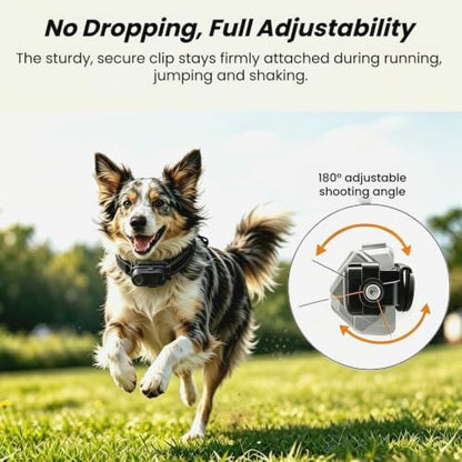 2K POV Cat Camera Collar with 32GB SD Card, WiFi Hotspot for App - Image 6