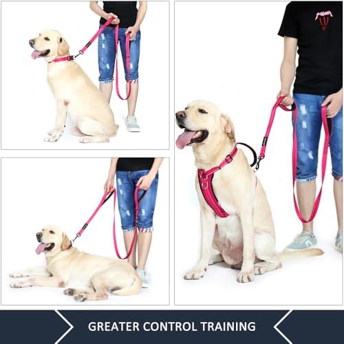 Plutus Pet Double Handle Dog Leash, 6 FT Long, for Medium Large Dogs - Image 3