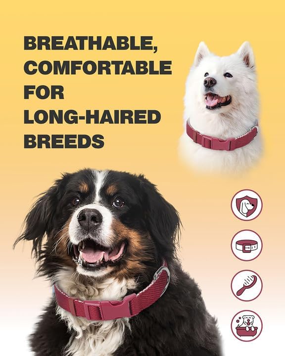 Dynmeow Soft and Breathable Cotton Dog Collar, Durable Adjustable Heavy-Duty Pet Collar with Quick-Release Buckle, Lightweight for Sensitive Skin for Large Dogs, Red, L