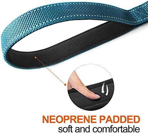 Twoear 5FT 1IN Heavy Duty Dog Leash for Large Dogs with 2 Padded Handles - Image 4