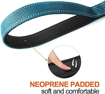 Twoear 5FT 1IN Heavy Duty Dog Leash for Large Dogs with 2 Padded Handles - Image 4