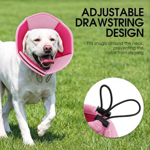 Dog Cone Soft Cone for Dogs to Stop Licking - Image 4