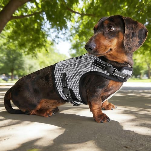 Mini Dachshund Harness – No Armpit Rub, Escape Proof, Reflective, No Pull Vest-Style Dachshunds Harness,Breathable Mesh Dog Harness (Silver-White, M: Chest 42-52cm (16.5"-20.5")) - Image 5
