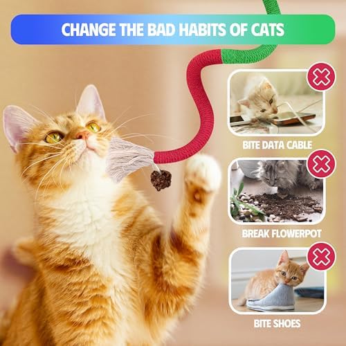 Silvervine Sticks Cat Chew Toys for Indoor Cats Dental Care Teeth Cleaning, Natural Kitten & Cat Teething Toys for Health, Catnip Toys Cat Chew Rope Suitable for All Breeds of Aggressive Chewers Cat - Image 6