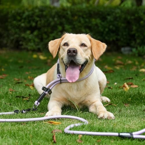 Rope Dog Leash, 6 Foot Heavy Duty Dog Leash with Aviation Aluminum Auto Locking Carabiner, Strong Nylon Pet Lead for Small, Medium, Large Dogs (Orange, 6FT) - Image 5