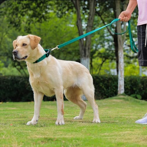 Waterproof Dog Leash, 5/6 FT Durable Odor-Proof Dog Leashes with Strong Metal Hooks Fits Small Medium or Large Dogs (Emerald Green, 6FT - 1 inch Width) - Image 6