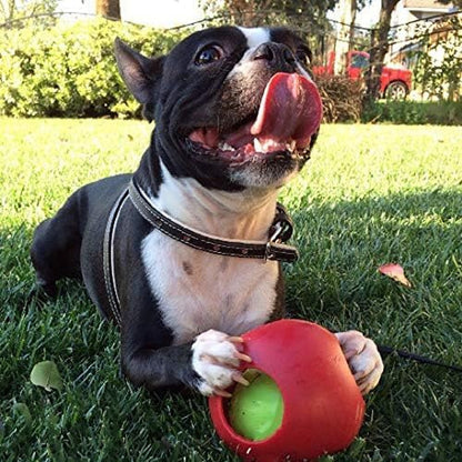 Jolly Pets Teaser Ball Interactive Dog Toy, 4.5 in Small, Red - Image 3
