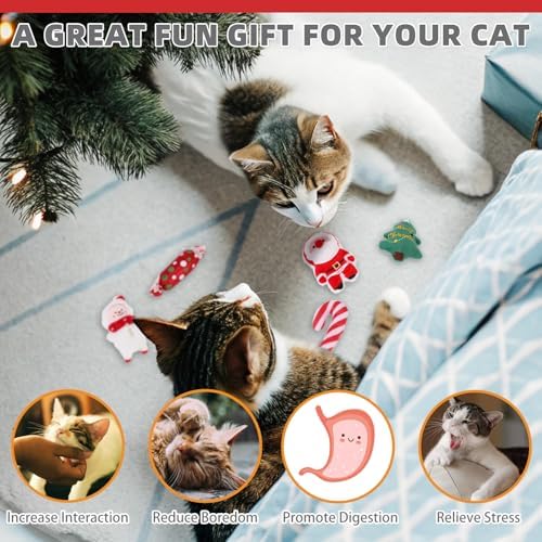 KOOLTAIL Christmas Cat Catnip Toys, 5 Pack Durable Soft Santa Claus Christmas Tree Candy Toy Filled with Natural Catnip, Interactive Bite Resistant Chew Teeth Cleaning Gift for Indoor Cats Kitten - Image 5
