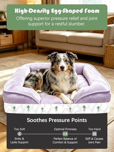 Spotted Play Orthopedic Dog Bed with Sides - Sofa Beds for Large Dogs, Supportive Foam Pet Couch Bed with Washable Removable Cover, Waterproof Lining and Non-Slip Bottom, Purple - L - Image 4