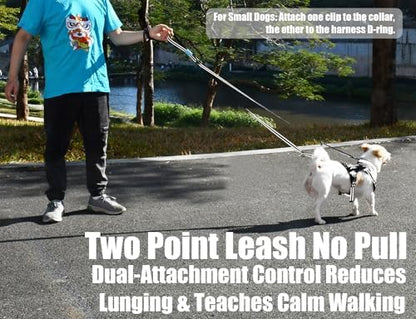 Two Point Control & Hands Free Dog Leash No Pull Black Large Dogs - Image 2