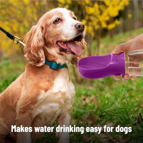 Mr. Pen- Portable Dog Water Bottle, 19 oz, Large - Image 4