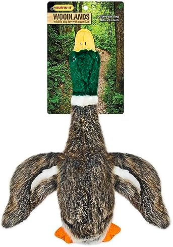 RUFFIN' IT Woodlands, Plush Mallard 13 in Squeaky Soft Stuffed, Dog Toy - Image 6