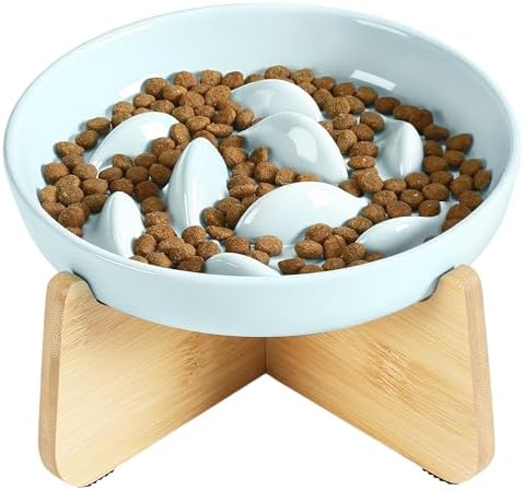 PETTOM Slow Feeder Cat Bowl with Stand, Ceramic Slow Eating Cat Bowl with Higher Edges Fish Pool Design Elevated Food Bowls for Dry and Wet Food Anti-Vomiting Puzzle Feeder for Healthy Eating Diet by PETTOM