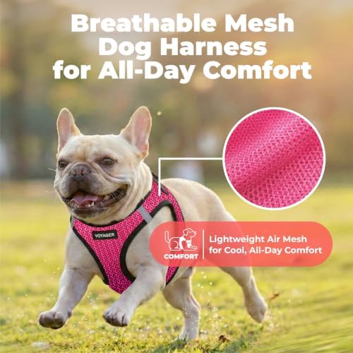 Voyager Step-in Air Dog Vest Harness - Fuchsia 2-Tone, X-Small - Image 5