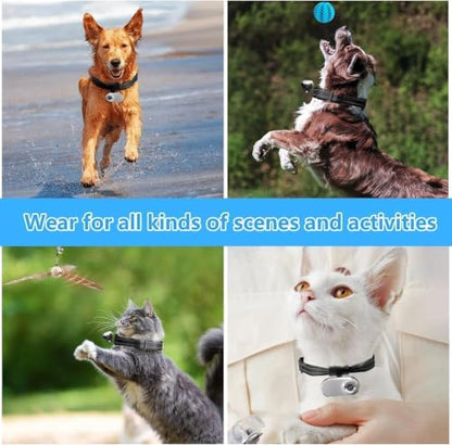 HD 1080P Cat POV Camera Collar with Video Record, Mini Small Sports Video Cameras, Body Cam Outdoor/Inoor No WiFi, Unique Pet Supplies Gift for pet Owners, Dog Moms, cat dads, Ideal Gift - Image 5