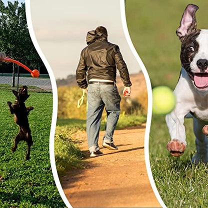 ptlsy 2inch Dog Ball for Puppy Small Medium Dogs Fetching Exercise, 16 Pack - Image 4