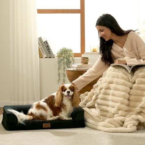 COZY KISS Orthopedic Dog Bed for Medium Small Size Dogs, U Shaped 30x20 in - Image 2
