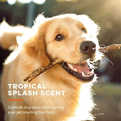 Wet Ones for Pets Multipurpose Dog Wipes, Tropical Splash, 100 Count, 3-Pk - Image 6