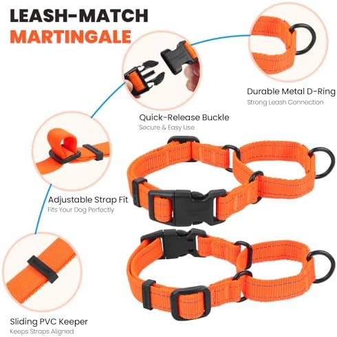 VIVAGLORY Double Handle Dog Leash Twingrip, 5ft x 1in, L, Orange - Image 4