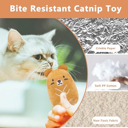 5pcs Catnip Toys, Funny cat Toy, bite Resistant cat Toys - Image 3