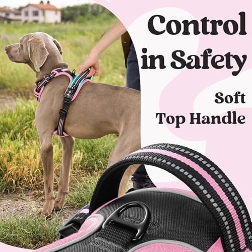 rabbitgoo Dog Harness for Large, Updated Easy On & Off with 3 Buckles - Image 4
