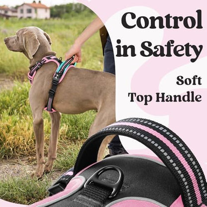 rabbitgoo Dog Harness for Large, Updated Easy On & Off with 3 Buckles - Image 4