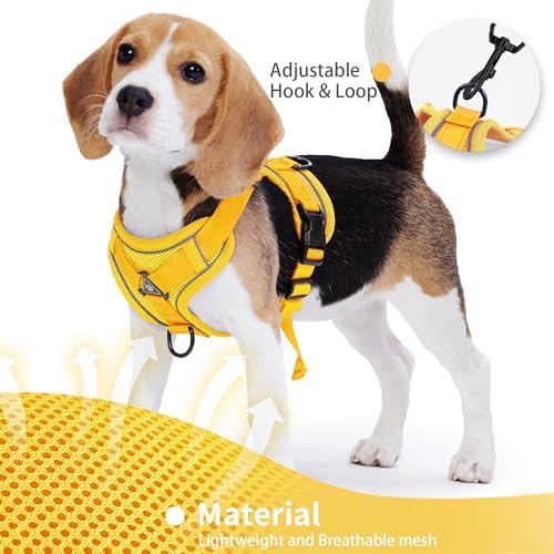 Dog Harness Medium Sized Dog Pet Vest with Leash Set Yellow L - Image 3