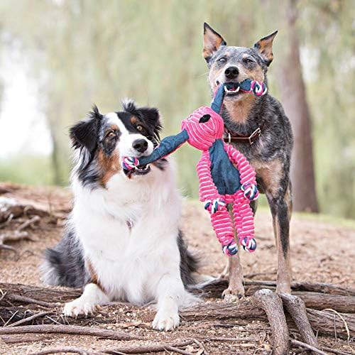 KONG Floppy Knots - Durable No‑Stuffing Squeaky Rope & Plush Dog Toy - for Teething, Playing (Bunny, Small/Medium) - Image 2