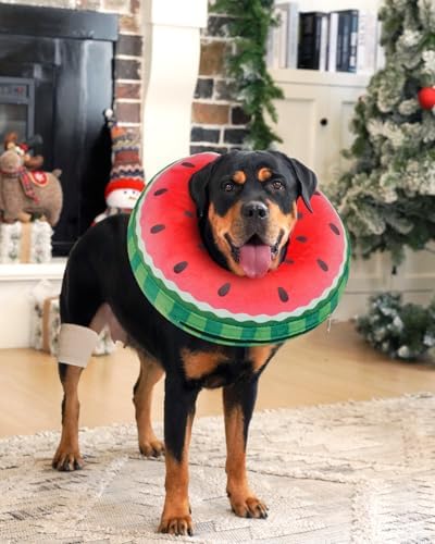 Inflatable Dog Pillow Cone Collar After Surgery, Donut Soft Neck Cone for Chihuahua Pomeranian Small Dogs, etc, Recovery E Collar to Stop Licking Watermelon - Image 4