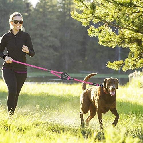 JSXD 5 FT Heavy Duty Double Handle Dog Leash with Comfortable Padded and Reflective Rope, for Small, Medium, Large Dogs (Rope-Pink) - Image 6