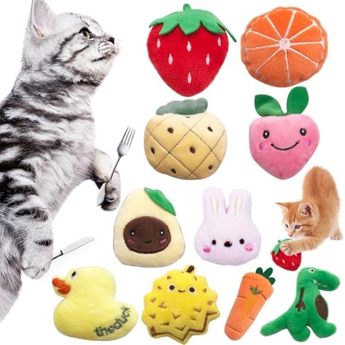 Mini Cat Catnip Toys for Indoor Cats 10 Pack by Bestwishforyou
