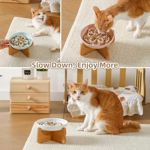 Elevated Slow Feeder Cat Bowl - Melamine Cat Dish with Anti-Slip Bamboo Stand - Whisker Friendly Feeding Bowl - Floral Maze Food Plate for Slow Eating - Green - Image 6