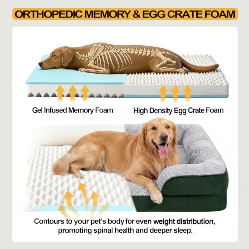 Orthopedic Dog Beds Large Sized Dog, Memory Foam Dog Bed Couch, 36"L - Image 3