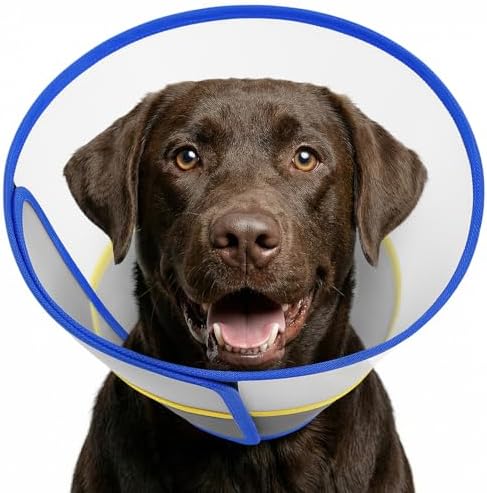 Queenmore Dog Cone - Soft Cone for Dogs to Stop Licking Transparent Elizabeth Recovery Collar for Large Dog Flexible Plastic Cones for Dogs After Surgery, Normal Eating and Drinking, Blue Large by Queenmore