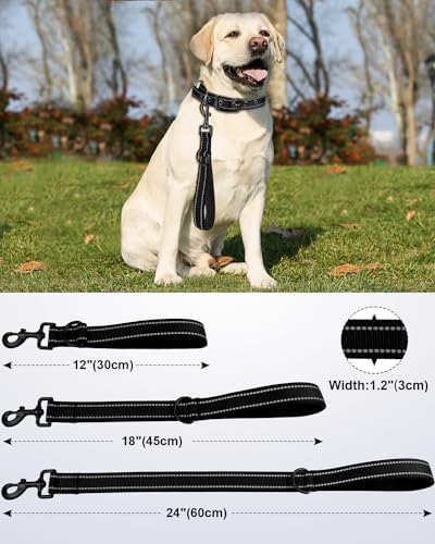 Joytale Short Dog Leash for Close Control & Training, 12", Black - Image 2