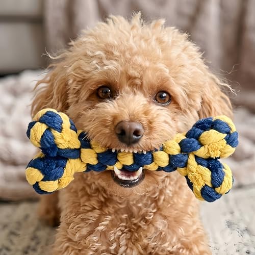 Bone-Shaped Dog Rope Chew Toy, Blue & Yellow - Image 4